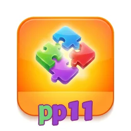 pp11